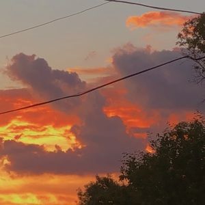 Meet your Posher, Alina